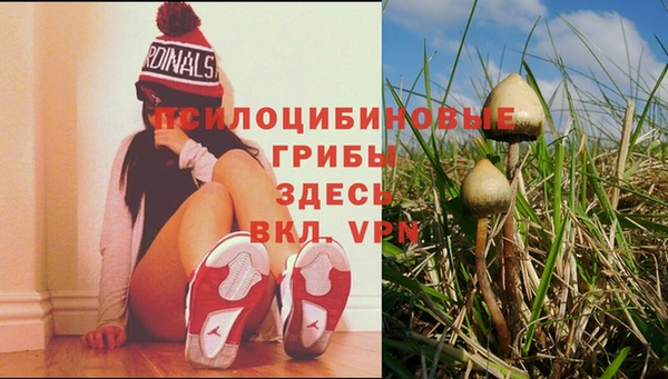 2c-b Алзамай