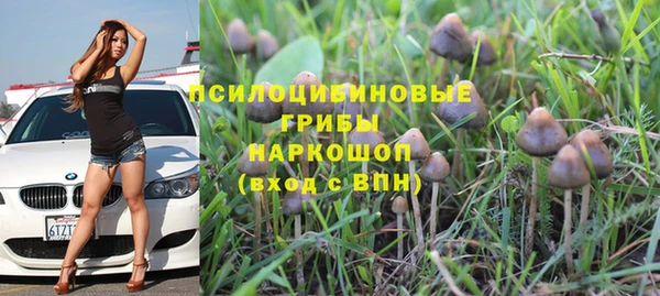 2c-b Алзамай